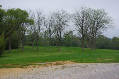 000 Carnes Rd_Pecan Trees