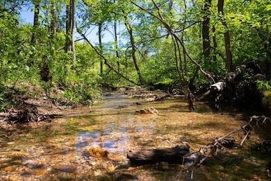 22474 State Hwy N, Squires, MO 65755 - photo 3