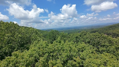 35 High Summit Dr, Talking Rock, GA 30175 - photo 6