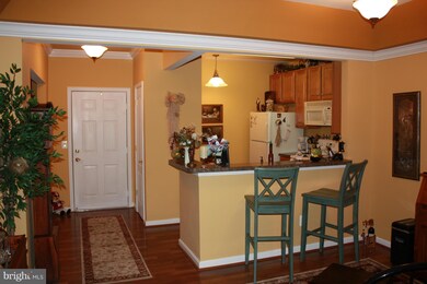 8600 Roaming Ridge Way unit 301, Odenton, MD 21113 - photo 3