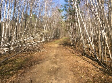 Delaware Trail, Breezy Point, MN 56472 - photo 4