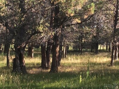 65541 Tweed Rd, Bend, OR 97703 - photo 3