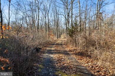 611 Haycock Run Rd, Kintnersville, PA 18930 - photo 2