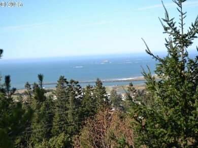 0 Bear Mountain Rd, Gold Beach, OR 97444 - photo 4
