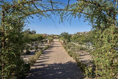 Copper Crest-Rose Garden2