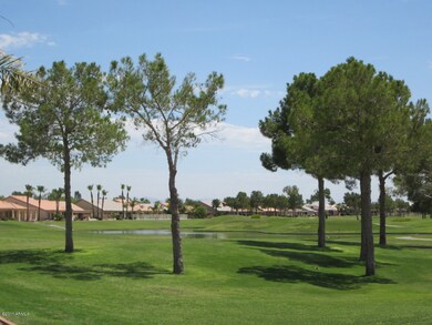 Tranquil Lake Views