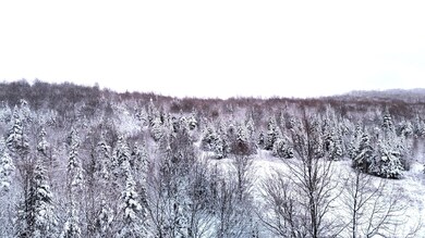 873 Walkerville Rd, Brandon, NY 12966 - photo 4