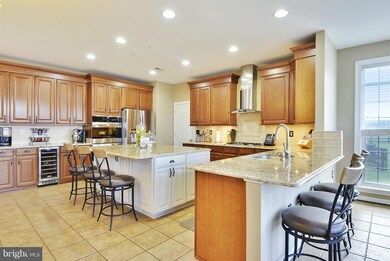 14047 Merlot Ln, Purcellville, VA 20132 - photo 6