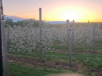 5630 Norris Rd, Huron, NY 14516 - photo 6