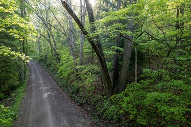 0 Twp Rd 629 & 3292 unit 227606, Loudonville, OH 44842 - photo 7