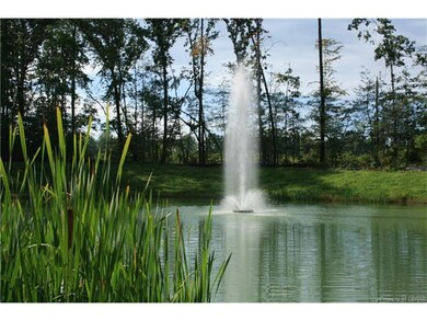 subdivision pond