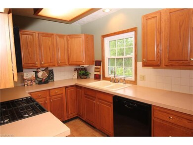 Kitchen window overlooks the sprawling treed backy