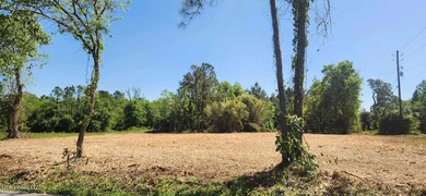 488472080_9605544092872675_6476037413806