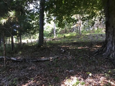 4BE28F28-9C72-427E-B60A-BD3D638A380F