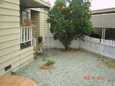Side yard. 