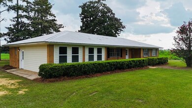 424 Grassy Flats Rd, Colquitt, GA 39837 - photo 2