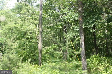 0 Hampshire Grade Rd unit 1002439090, Hedgesville, WV 25427 - photo 4