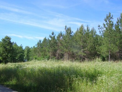 0 Thomas Springs Rd unit RTC2954745, Crossville, TN 38572 - photo 2