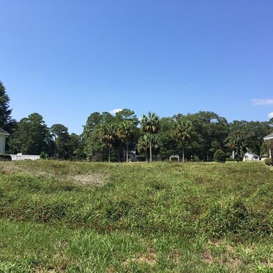 1175 Sea Palms West Dr, St. Simons Island, GA 31522 - photo 2