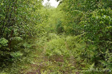 TBD Mud Lake Rd, Lake Linden, MI 49945 - photo 7