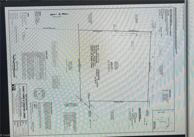 0 Flat Creek Rd, Bennett, NC 27208 - photo 5