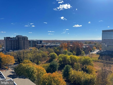 11710 Old Georgetown Rd unit 1206, North Bethesda, MD 20852 - photo 6