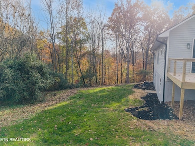 9601 Cannon Ln, Strawberry Plains, TN 37871 - photo 7