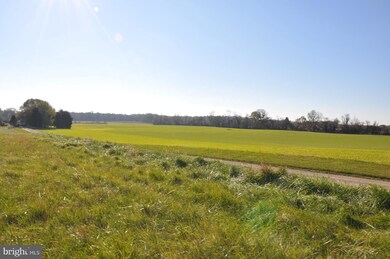 8415 Rock Hall Rd, Chestertown, MD 21620 - photo 2