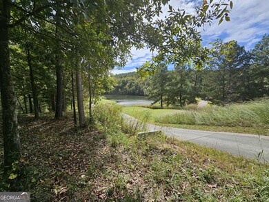 42 Lookout Point, Toccoa, GA 30577 - photo 7