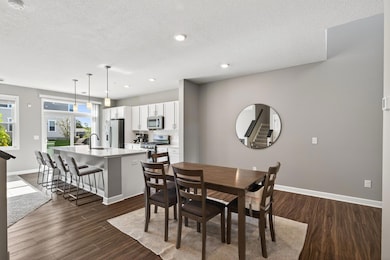 10892 Territorial Trail, Maple Grove, MN 55369 - photo 2