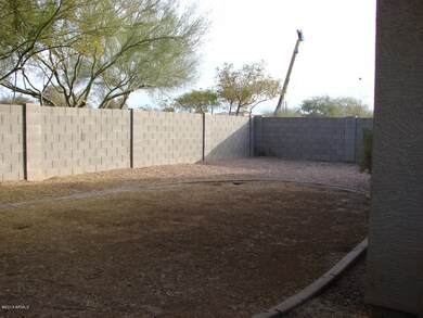 back yard