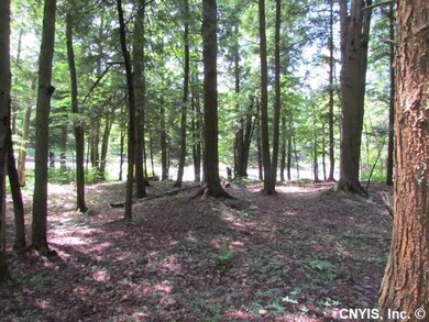 Land/Lot