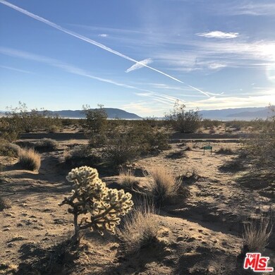 5340 California Ave, Joshua Tree, CA 92252 - photo 6