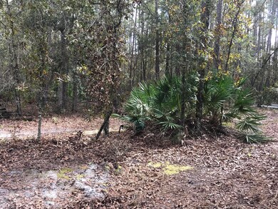 3920 June Bug Ln, Middleburg, FL 32068 - photo 2