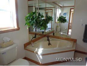 Master Bath Garden Tub