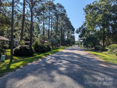 561 Craig Cir, Bennettsville, SC 29512 - photo 3