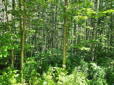 XX Black Granite Tr, Hovland, MN 55606 - photo 4