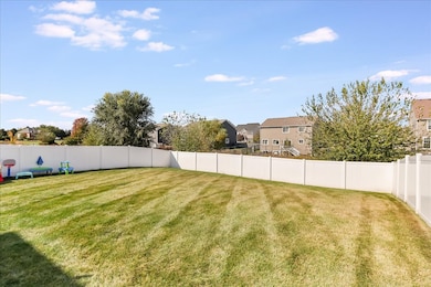 342 Snow Drop Ln, Elgin, IL 60124 - photo 3