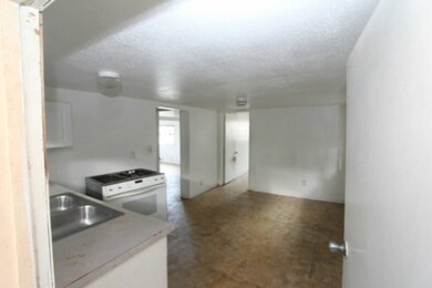 19 W Kawili St, Hilo, HI 96720 - photo 6