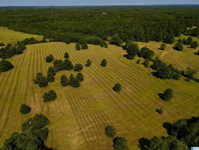 0 Highway 145 unit 1 21425973, Shelby, AL 35143 - photo 4