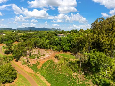 0 Kana St unit 10B 715937, Kapaa, HI 96746 - photo 2