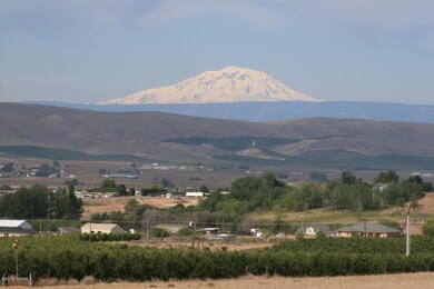 View of Mt Adams