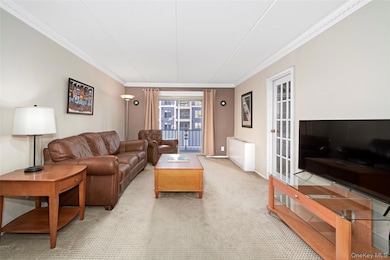 Newport Towers West unit 2T, Harrison, NY 10528 - photo 7