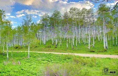 Willow Point subdivision maintains the road