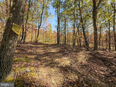 Adj 157 Thomas Rd, West St. Clair Township, PA 15521 - photo 5