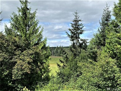 18303 Bald Hill Rd SE, Yelm, WA 98597 - photo 6