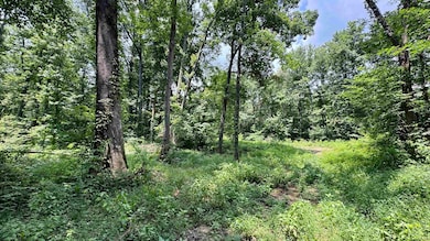 Off S 66, Newburgh, IN 47630 - photo 7