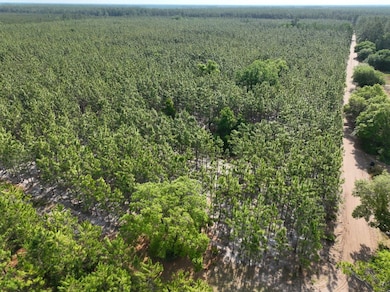 0 Ralph Davis Rd, Folkston, GA 31537 - photo 4