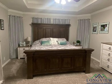 Bedroom featuring baseboards, a tray ceiling, carp