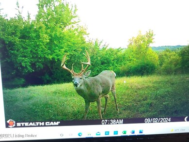 706 Sanders Ln, Willisburg, KY 40078 - photo 3